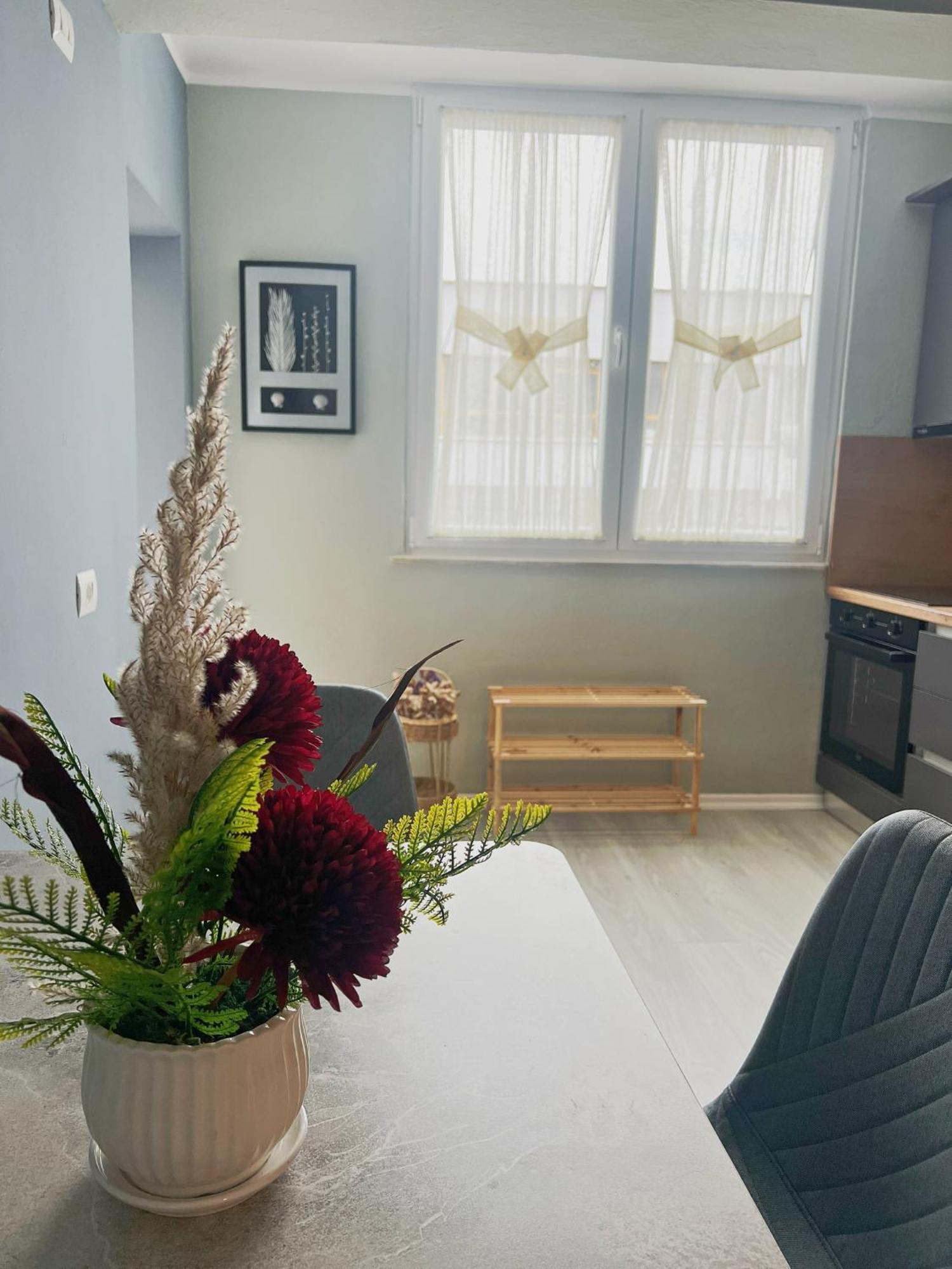 Joyful Apartment Tirana Buitenkant foto